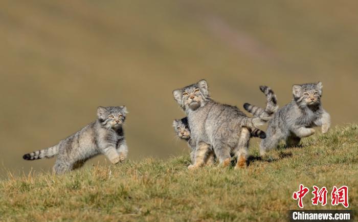 圖為李善元獲獎(jiǎng)作品《當(dāng)媽媽說(shuō)跑步前進(jìn)》?！±钌圃?攝