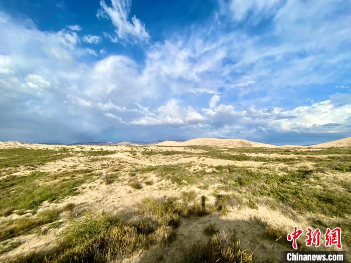 圖為關(guān)停四年后的沙島景區(qū)現(xiàn)狀。　李江寧 攝