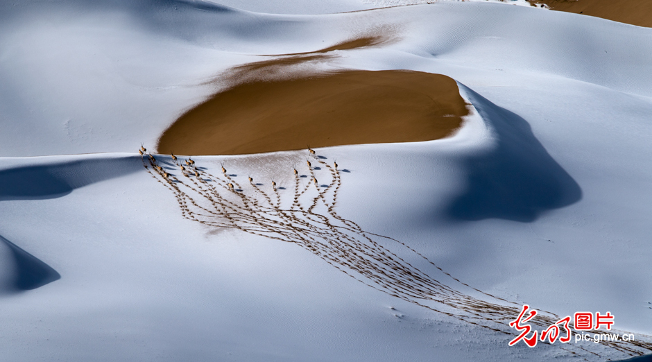 三江源國家公園正式設立，這是青海生態(tài)文明建設的新答卷