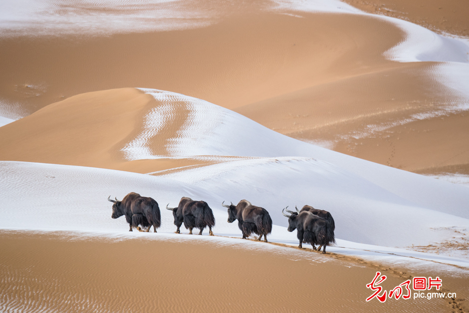 三江源國家公園正式設立，這是青海生態(tài)文明建設的新答卷
