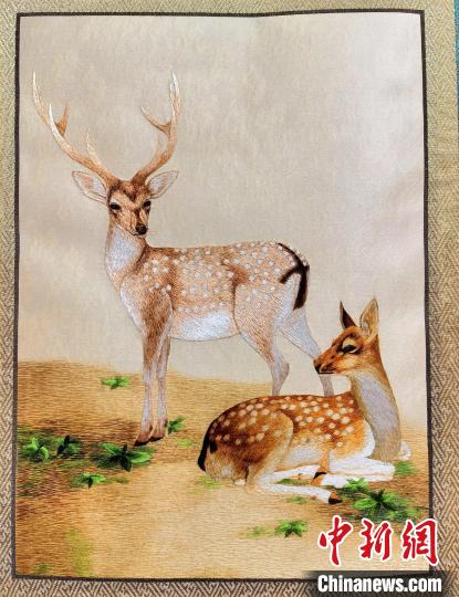 圖為藏繡作品?！∑钤鲚?攝
