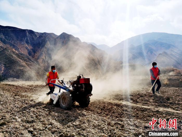 圖為拖拉機(jī)在山地犁地?！?zhí)砀?攝