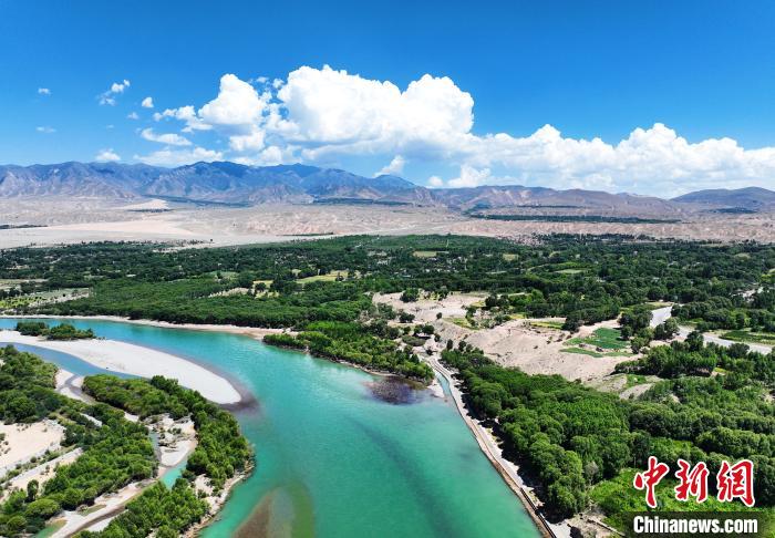 航拍貴德縣黃河岸畔綠意盎然?！●R銘言 攝