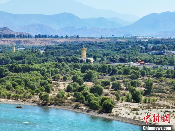 航拍貴德縣黃河岸畔綠意盎然。　馬銘言 攝