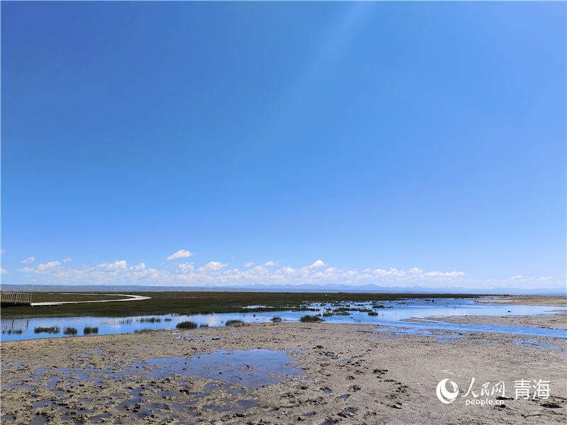   青海湖仙女灣。人民網 張莉萍攝