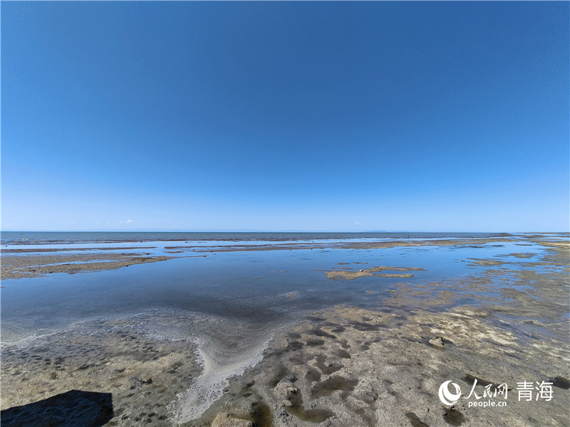   青海湖仙女灣。人民網 張莉萍攝