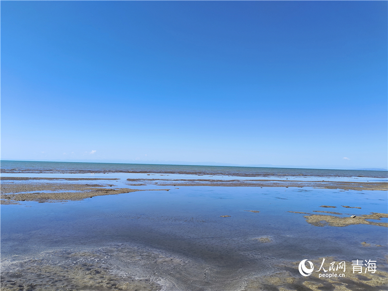   青海湖仙女灣。人民網 張莉萍攝