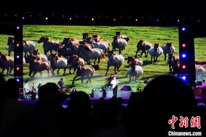 瀾滄江源草原夜：中外來賓藏歌悠揚(yáng)中仰望星空