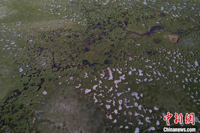 航拍查旦濕地?！●R銘言 攝