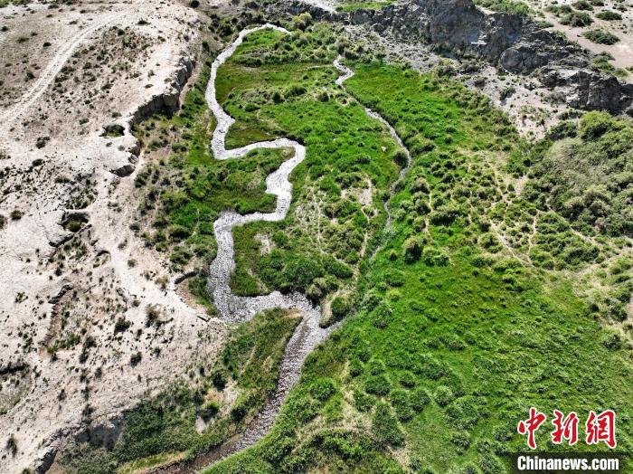 圖為航拍都蘭湖國(guó)家濕地公園綠意盎然?！∑钤鲚?攝