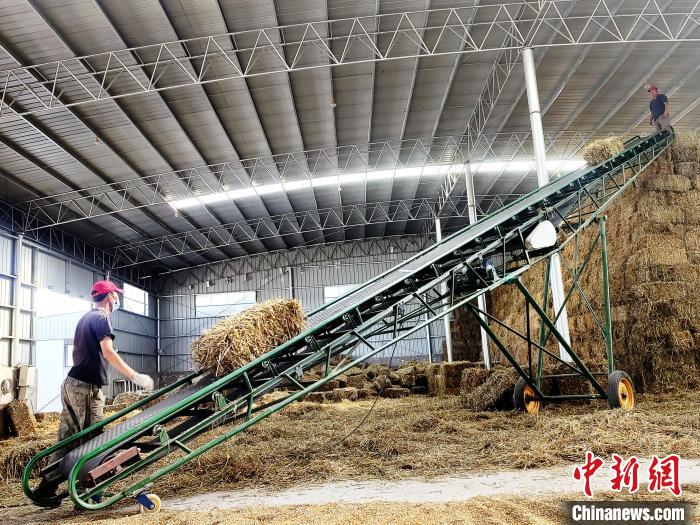 圖為飼草打捆、儲存?！●R芝芬 攝