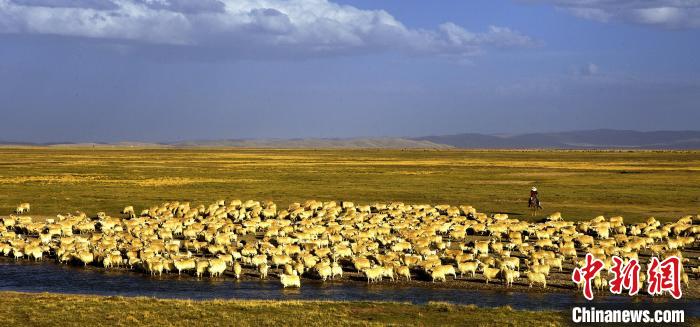 青?，敹唷鞍渍渲椤弊尠傩斟X袋鼓起來
