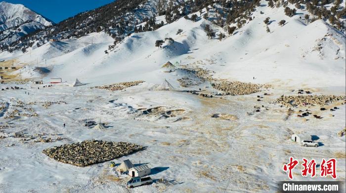 圖為無人機航拍牧場?！《继m縣融媒體中心供圖