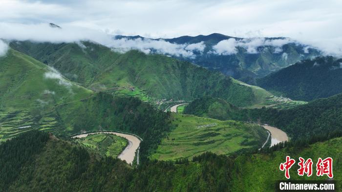 資料圖為果洛州境內瑪可河國家森林公園。　馬銘言 攝