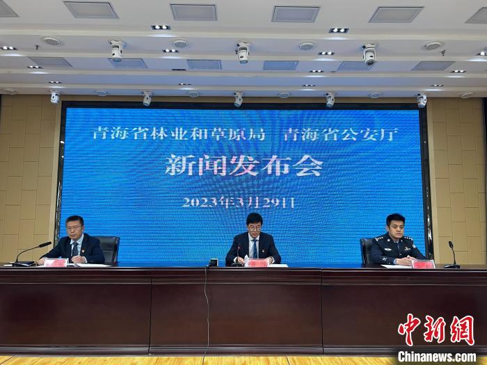 青海去年占用林地、草地準(zhǔn)予許可件同比實(shí)現(xiàn)“雙減”