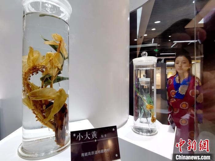 青海中藏醫(yī)藥發(fā)展提速：建設(shè)一批重點專科學(xué)科，推廣一批適宜技術(shù)