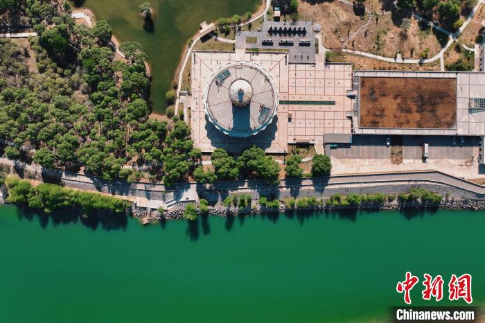 航拍青海貴德黃河岸畔綠意濃濃?！≮w凜松 攝