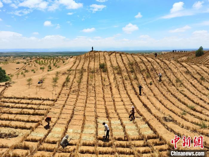 青海海南治沙復(fù)綠60余載:從“沙進(jìn)人退”到“綠進(jìn)沙退”