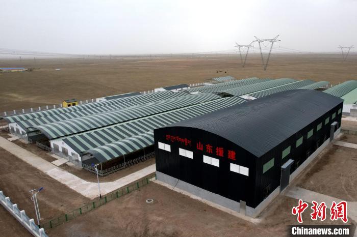 圖為航拍生態(tài)畜牧業(yè)集中規(guī)?；B(yǎng)殖基地?！〔讨绢?攝