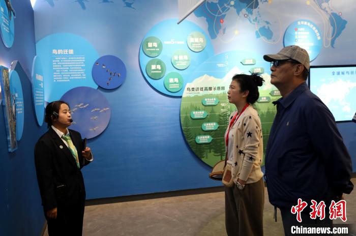 圖為臺商在祁連山國家公園生態(tài)科普館內(nèi)聆聽講解?！⊙Φ?攝