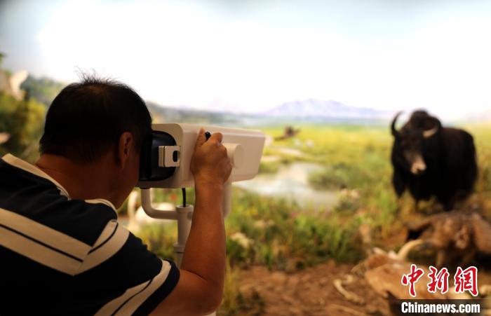 圖為臺商觀看祁連山國家公園生態(tài)科普館內(nèi)生態(tài)場景。　薛蒂 攝