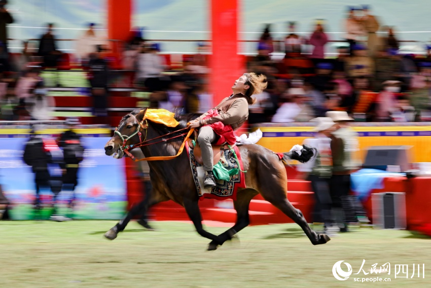 馬術(shù)表演現(xiàn)場(chǎng)。洛絨尼瑪攝