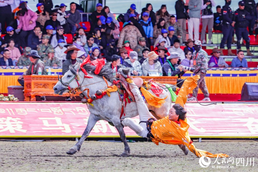 馬術(shù)表演現(xiàn)場(chǎng)。洛絨尼瑪攝