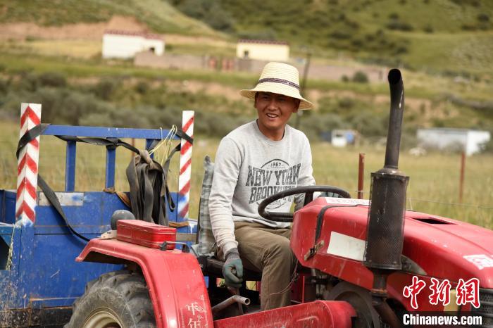 青海囊謙：喜迎秋收，又是一年“豐”景