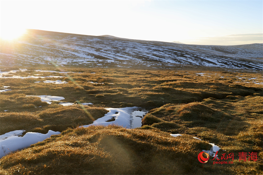 黃河源頭落日余暉。人民網(wǎng) 陳明菊攝