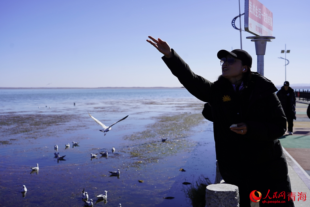游客投喂水鳥。人民網(wǎng) 陳明菊攝