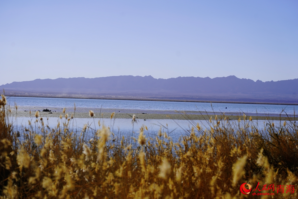 可魯克湖秋色如畫。人民網(wǎng) 陳明菊攝