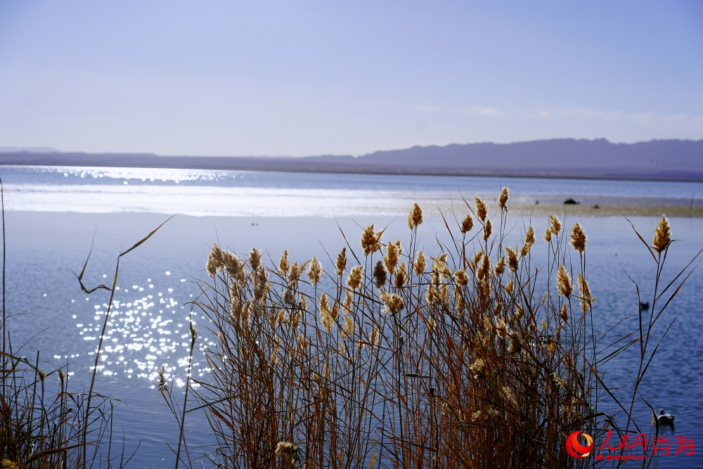 可魯克湖秋色如畫。人民網(wǎng) 陳明菊攝