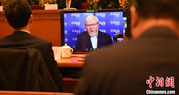 圖為外國專家通過線上進行分享交流?！≮w朗 攝