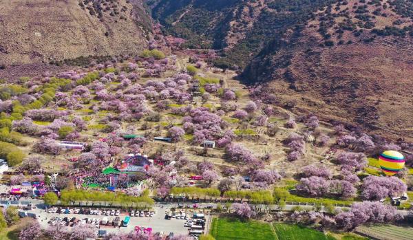 世外桃源！一組圖告訴你，西藏林芝桃花能有多美