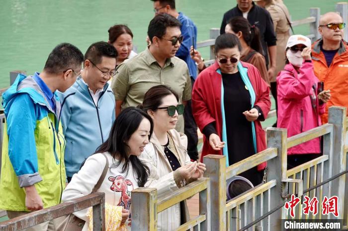 全國新的社會階層人士服務(wù)團考察林芝巴河鎮(zhèn)生態(tài)保護項目?！∧岈?shù)┰龉﹫D