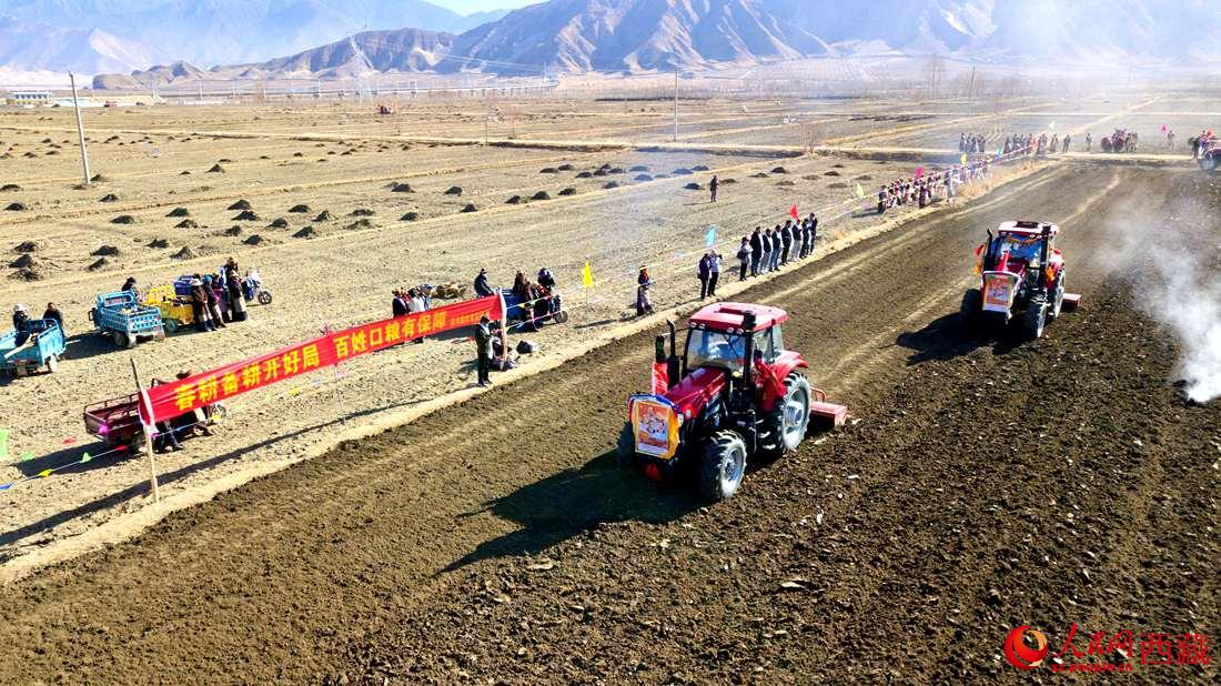 山南市扎囊縣扎其鄉(xiāng)孟卡榮村迎來春耕第一犁。人民網(wǎng) 次仁羅布攝