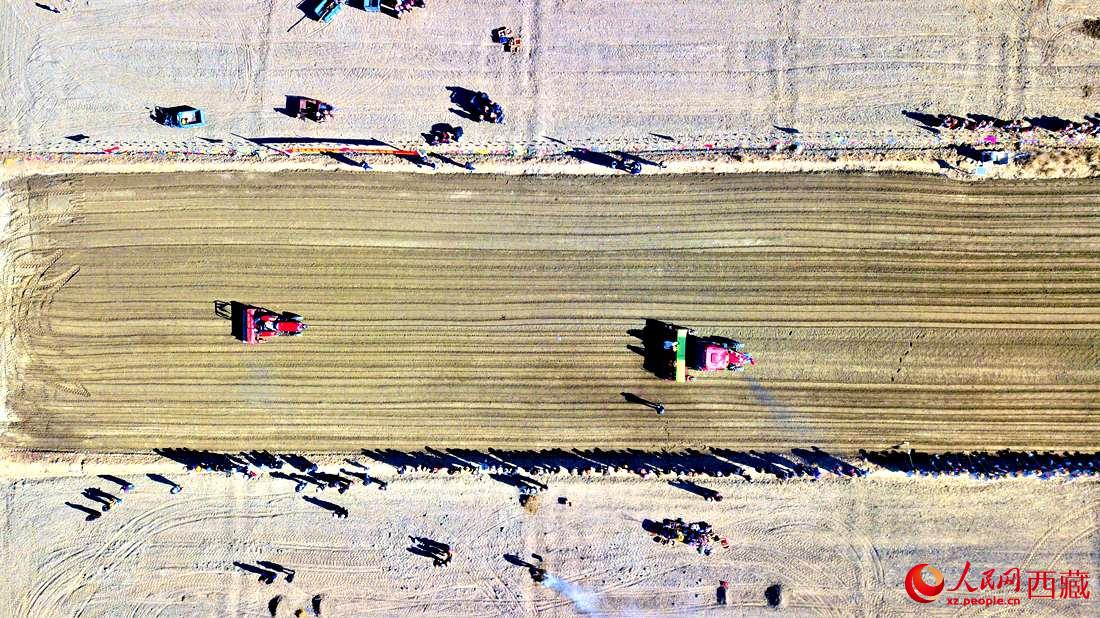 山南市扎囊縣扎其鄉(xiāng)孟卡榮村迎來春耕第一犁。人民網(wǎng) 次仁羅布攝