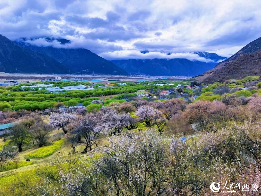 桃花從中的“童話小鎮(zhèn)”。人民網(wǎng) 李海霞攝