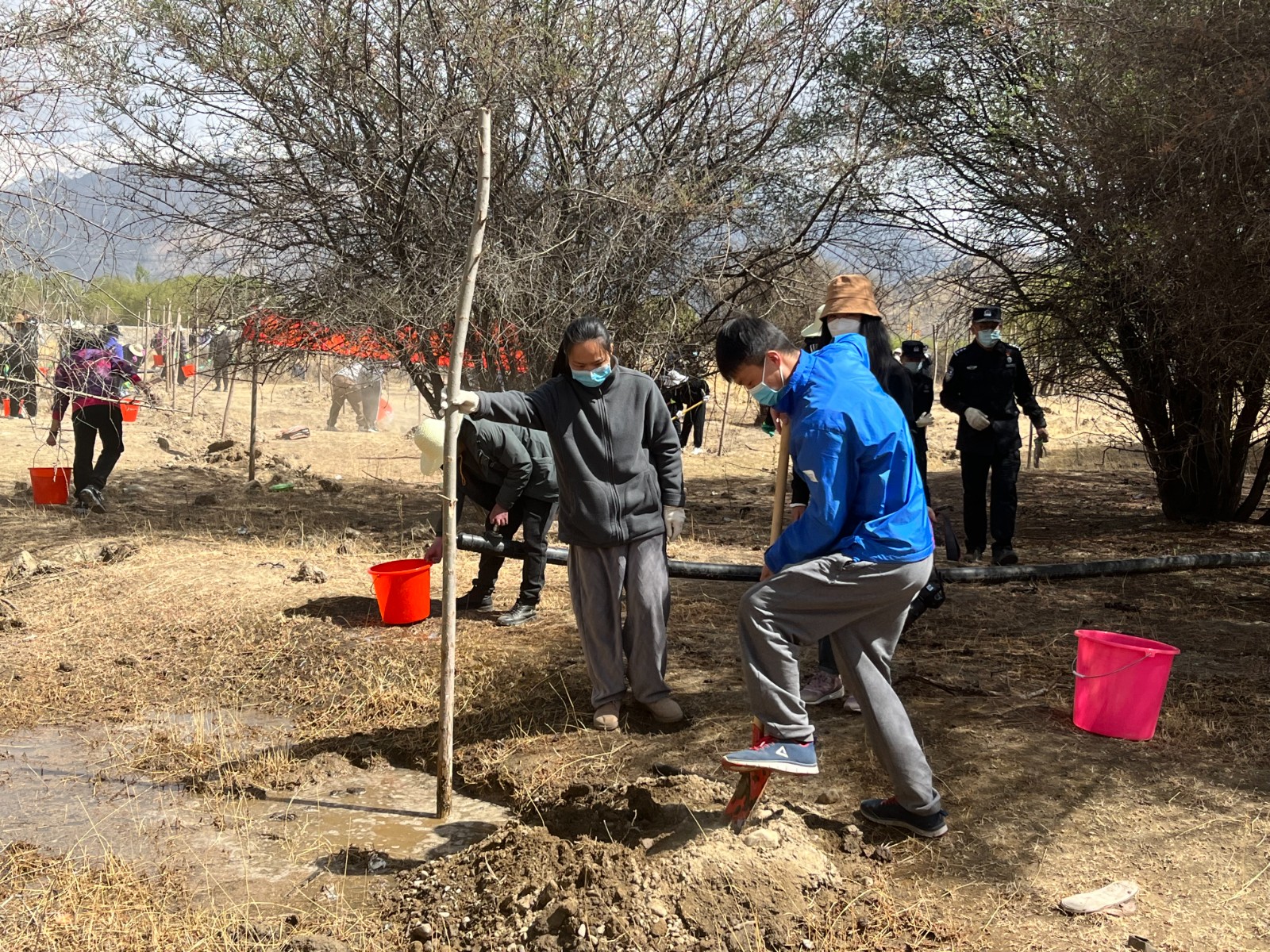 植樹現(xiàn)場，大家分工明確，配合默契(2000565)-20220420090303.jpg