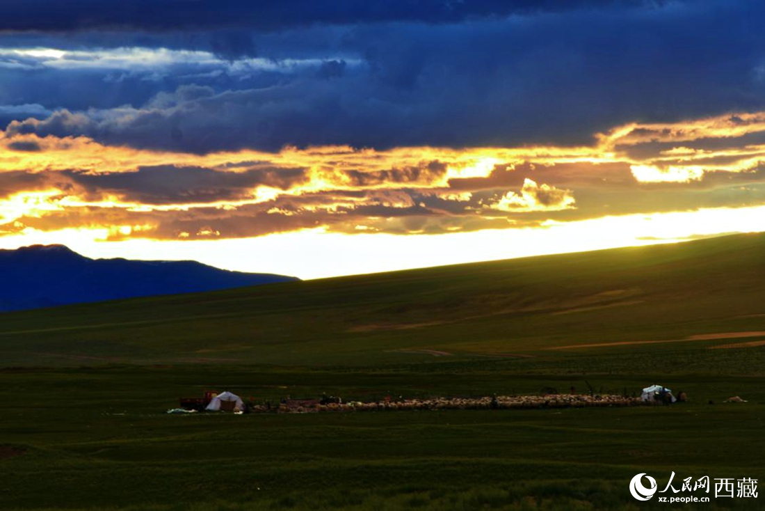 黃昏下的帳篷，牧民過(guò)著幸福生活。 人民網(wǎng) 李海霞攝