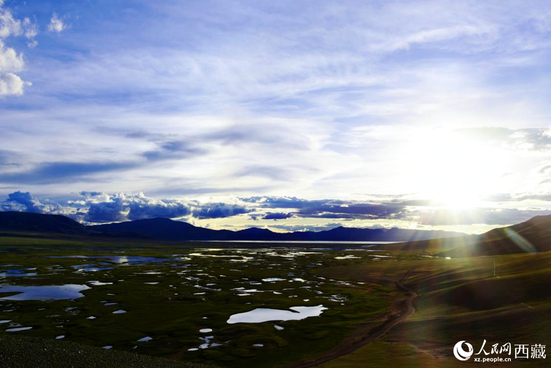 七月的羌塘草原處處是景。人民網(wǎng) 李海霞攝