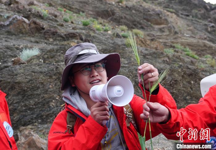 青藏科考：青稞如何走上青藏高原？
