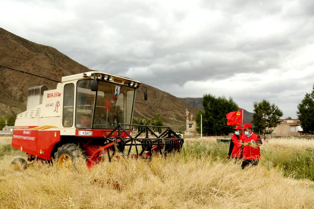 陣陣機(jī)械的轟鳴聲傳來豐收的喜悅。洛克攝