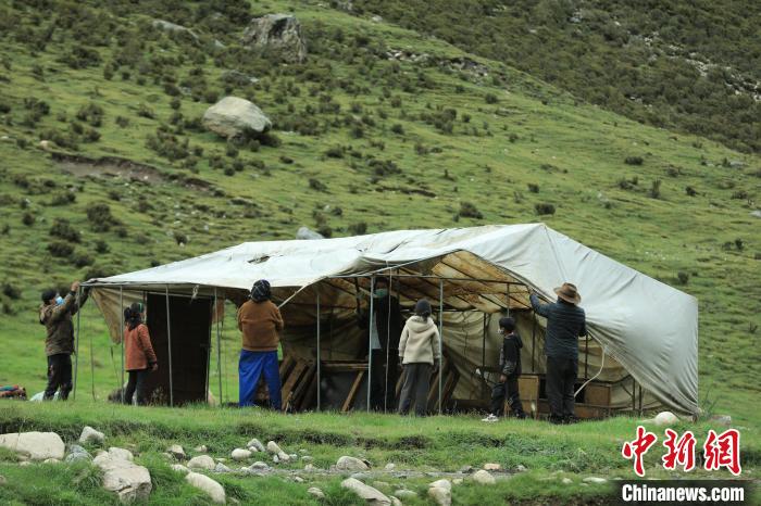 圖為牧民們在秋季牧場搭建帳篷?！÷蹇?攝