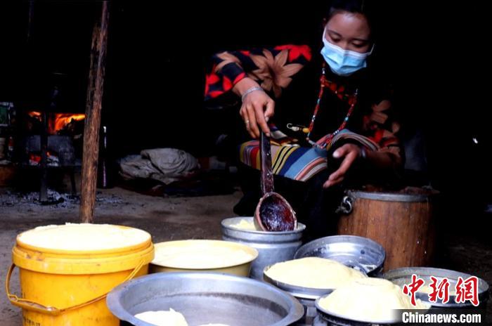 圖為牧民正在制作酥油?！∪湛t文聯(lián)供圖