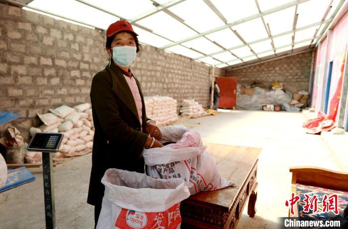 圖為寧重崗村村民扎西才措把自家的油菜籽送到合作社銷售。　嘉黎縣融媒體中心供圖