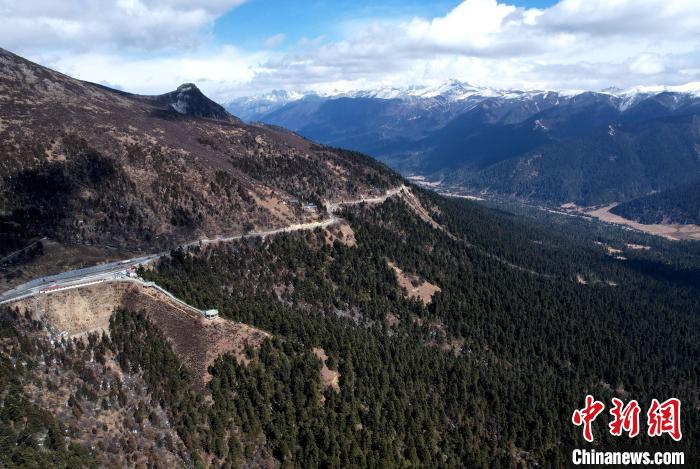 2月17日，西藏林芝魯朗林海。(無(wú)人機(jī)照片) 李林 攝