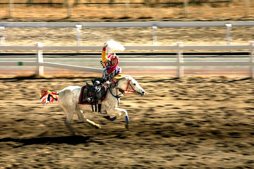 藏歷新年，精彩的馬術(shù)表演。張靜攝