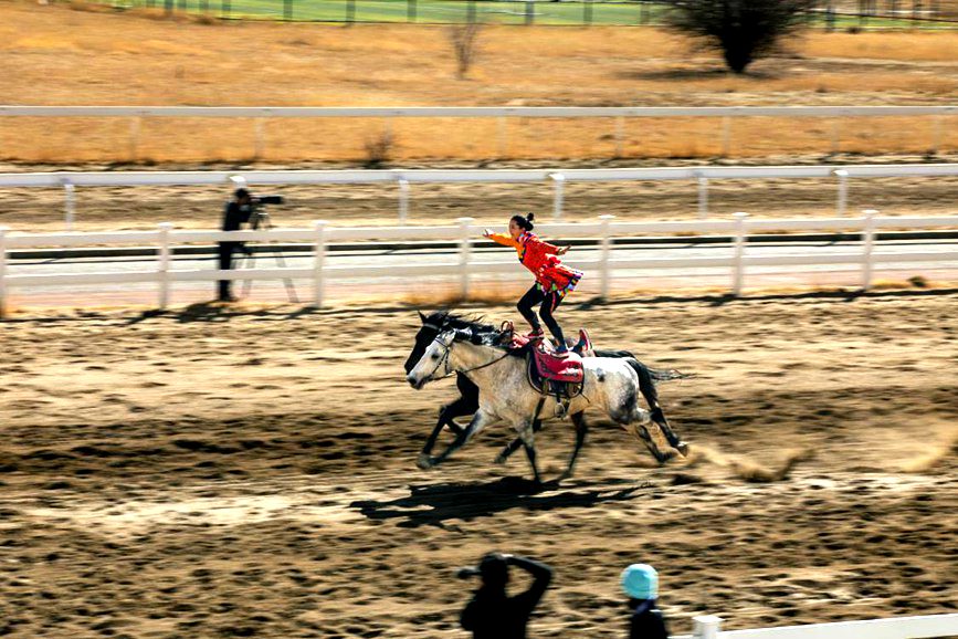 藏歷新年，精彩的馬術(shù)表演。張靜攝