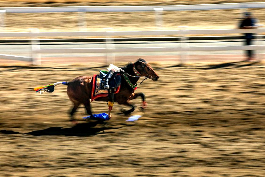 藏歷新年，精彩的馬術(shù)表演。張靜攝